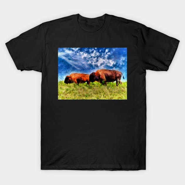 Bison On The Plains T-Shirt by art64